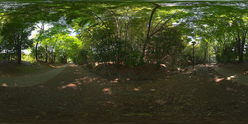 HDRI_nature014